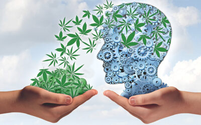 Study: Cannabis Use Not Associated With Later IQ Decline