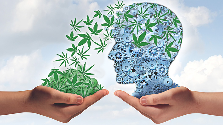 Study: Cannabis Use Not Associated With Later IQ Decline