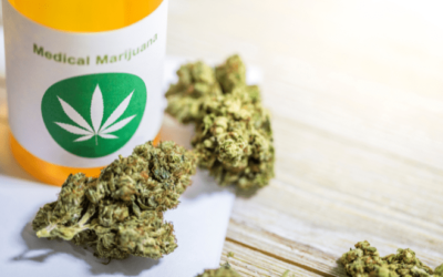 Nebraska: Voters Will Decide on Medical Marijuana Ballot Measures, But Await Judge’s Decision on Whether the Results Will Be Validated