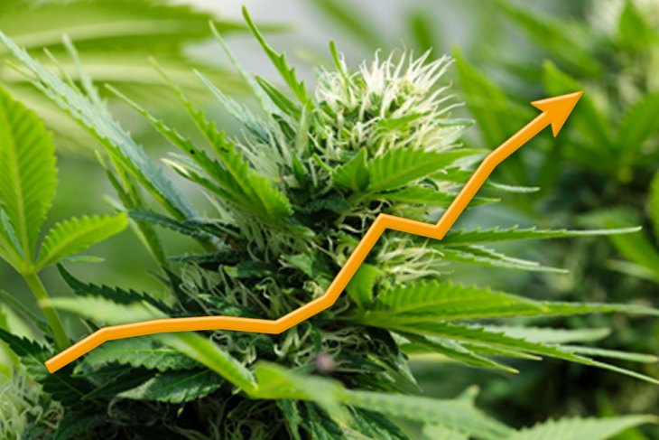 Manhattan Institute Poll: Adults Overwhelmingly Oppose Marijuana Criminalization