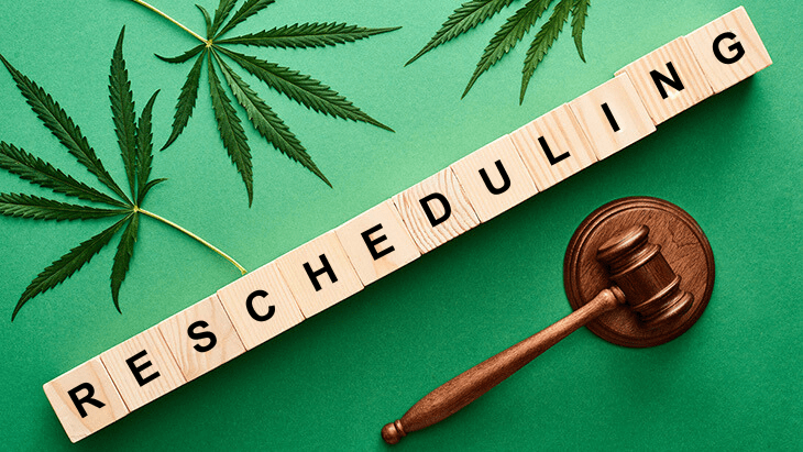 DEA Judge Stays Marijuana Scheduling Proceedings