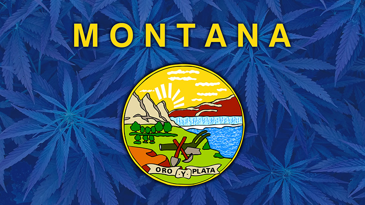 Montana: Republican Lawmaker Calls for State Surveillance of Consumers’ Retail Marijuana Purchases