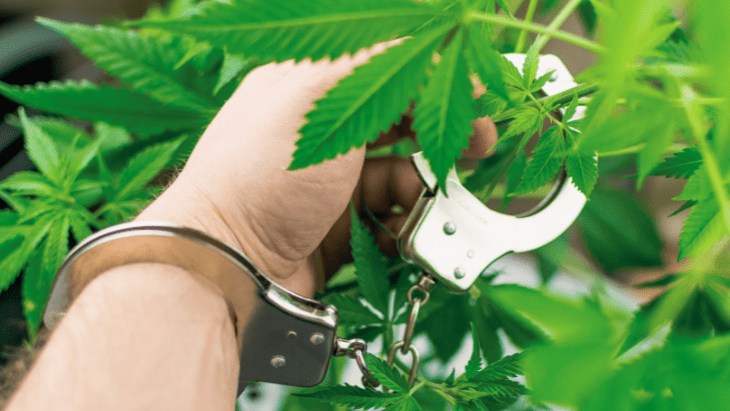 It’s Time for Cannabis Consumers To Stand Up