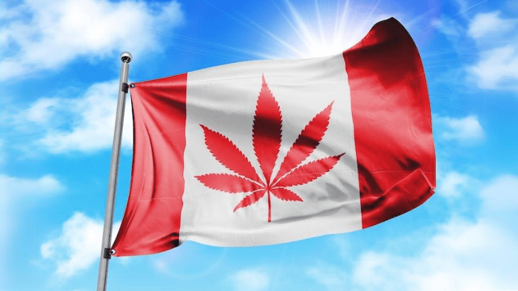 Analysis: Legalization Has Significantly Displaced Canada’s Illicit Cannabis Market