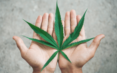 I’m Interning With NORML to Spark Change Beyond 4/20