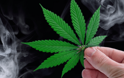 Prohibitionists Push for Recriminalization, NORML Pushes Back