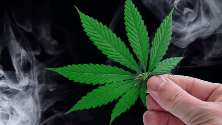 Prohibitionists Push for Recriminalization, NORML Pushes Back