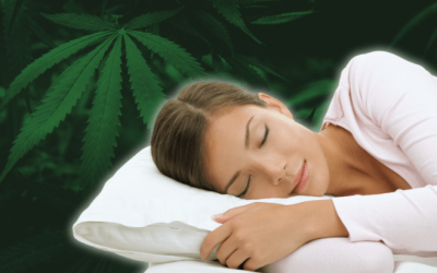 Cannabis Provides Benefits for Sleep Apnea Patients, Largest Ever Study Finds