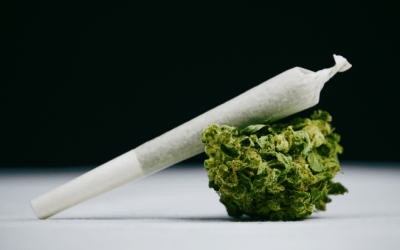 NORML Op-Ed: Debunking Cannabis Potency Myths