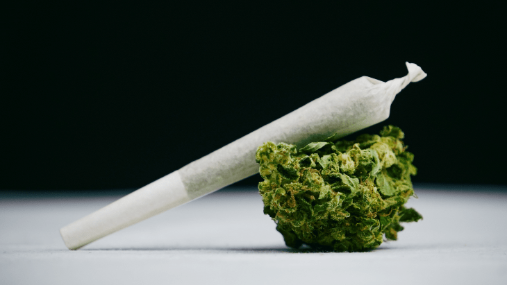 NORML Op-Ed: Debunking Cannabis Potency Myths