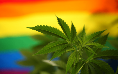 Honoring LGBTQIA+ Cannabis Trailblazers: A Pride Month Reflection
