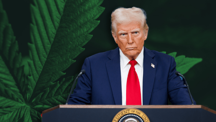 Trump Budget Proposal Rescinds Long-Standing Federal Protections for Medical Cannabis Patients