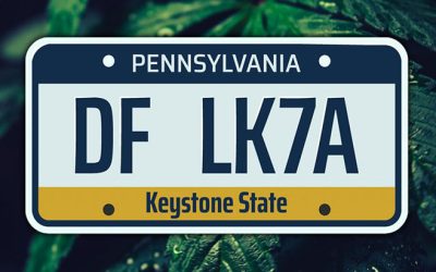 Pennsylvania: Reading City Council Adopts Municipal Decriminalization Ordinance
