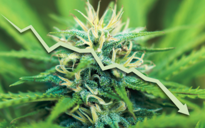 Pew Poll: Few Americans Support Feds’ Blanket Prohibition of Marijuana