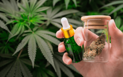 Nebraska: Omaha Tribe Approves Marijuana Legalization on Reservation Lands