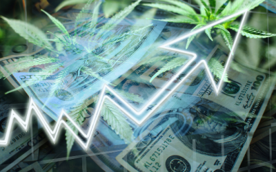 Newly-Imposed Tax Hikes on Retail Cannabis Products Take Effect in Two States
