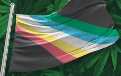 Honoring Cannabis Trailblazers in the Disability Community: A Disability Pride Month Reflection