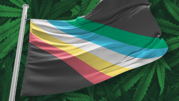 Honoring Cannabis Trailblazers in the Disability Community: A Disability Pride Month Reflection