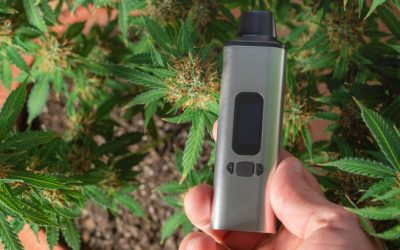 Clinical Trial Data Provides “Compelling Evidence” That Vaporized Cannabis Mitigates Migraine Symptoms