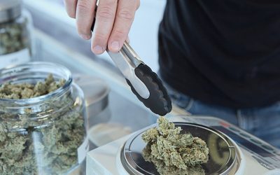 Delaware: Cannabis Sales Total Nearly $1 Million in Weekend Rollout