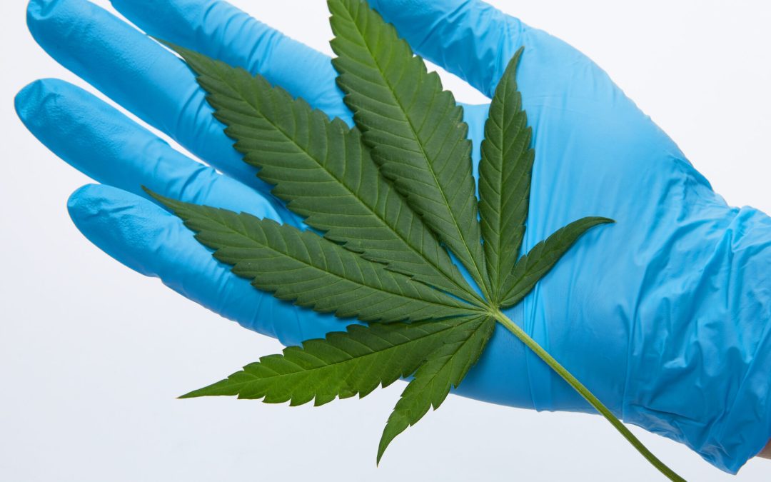 Medical Marijuana Could Increase Efficacy Of Chemotherapy To Fight Cancer While Reducing Side Effects, Study Suggests