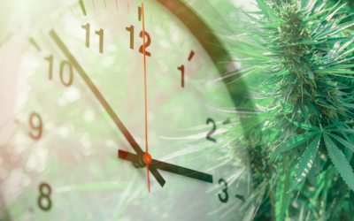 The Clock Is Ticking on Cannabis Rescheduling