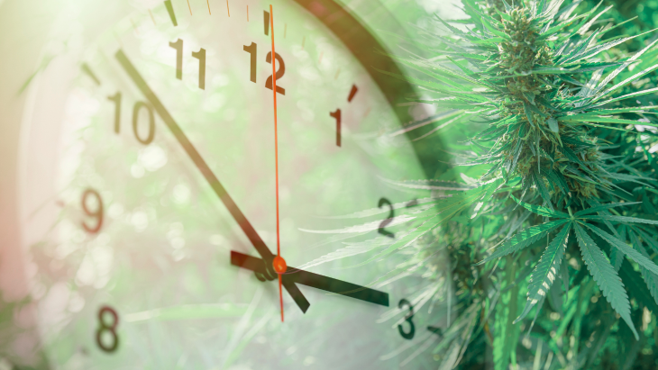 The Clock Is Ticking on Cannabis Rescheduling