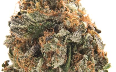 12 spooky weed strains for Halloween