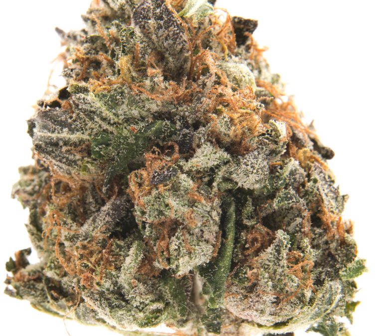 12 spooky weed strains for Halloween