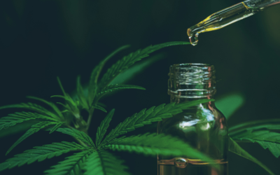 Clinical Trial: Daily Use of Plant-Derived Cannabis Extracts Improves Cognition in Dementia Patients