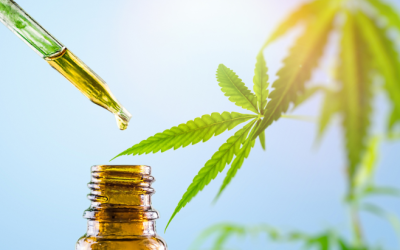 Clinical Trial: Cannabis Extract Demonstrates Superiority Over Opioids in Patients with Chronic Back Pain