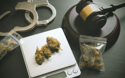 Urgent Action Needed To End US Marijuana Arrests