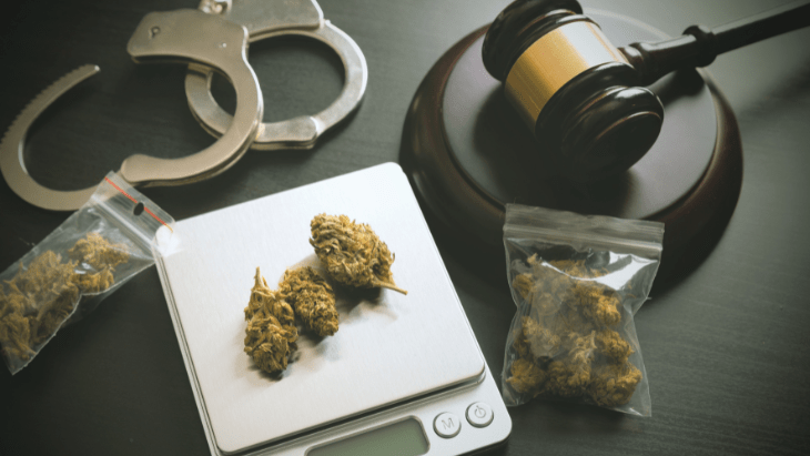 Urgent Action Needed To End US Marijuana Arrests