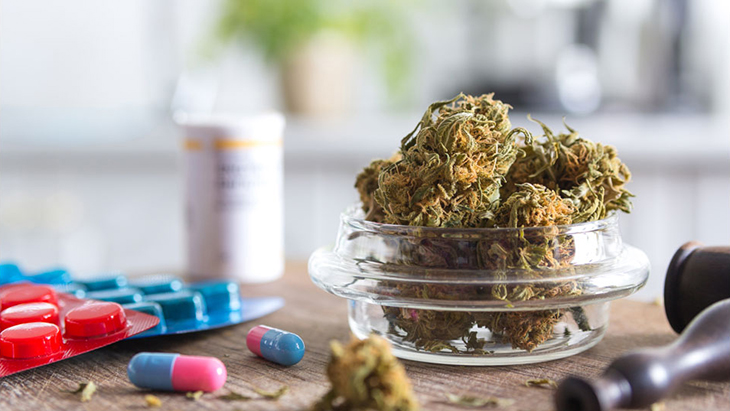 Analysis: Adult-Use Marijuana Legalization Associated with Fewer Opioid Overdose Deaths