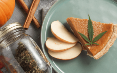 The Fight for Cannabis Freedom Doesn’t Take a Holiday