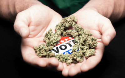 Election Day Decisions Could Reshape Cannabis Markets on the East Coast