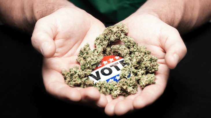 Election Day Decisions Could Reshape Cannabis Markets on the East Coast