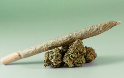 Marijuana Arrests Comprised Nearly Half of All Drug-Related Arrests in Over a Dozen States in 2024