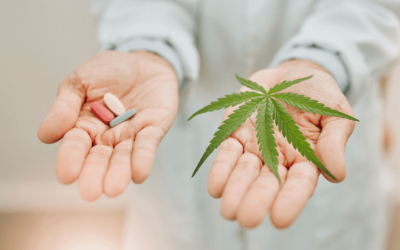 Analysis: State-Authorized Medical Cannabis Consumers Reduce Their Use of Prescription Opioids