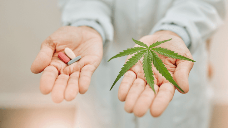 Analysis: State-Authorized Medical Cannabis Consumers Reduce Their Use of Prescription Opioids