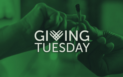 Everyone Deserves the Gift of Cannabis Freedom