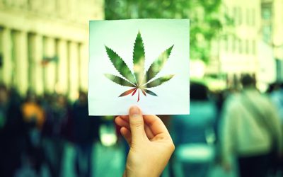 Now Is the Time to Double Down on Cannabis Activism