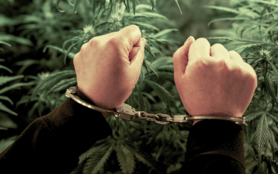 Multiple States Facing Marijuana Legalization Repeal Threats in 2026