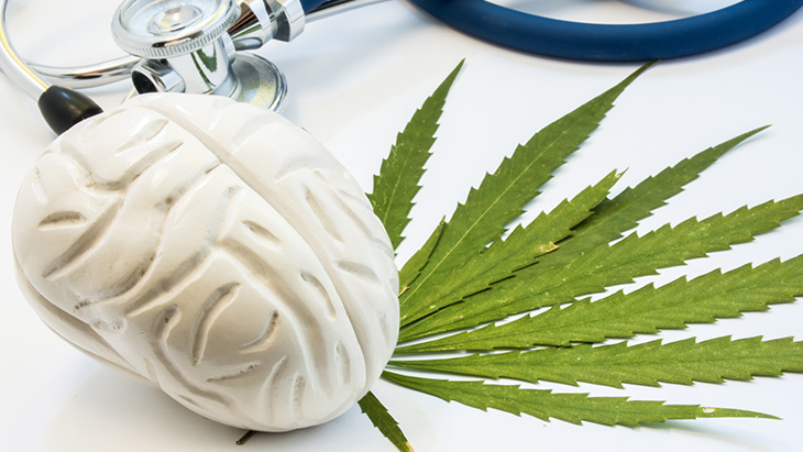 Study: Lifetime Cannabis Use Linked to Greater Cognitive Performance in Aging Populations