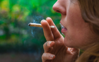 Feds Propose Amending 2nd Amendment Ban for Cannabis Consumers, Others