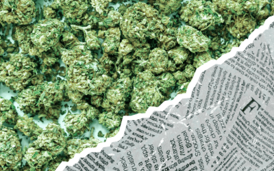 NORML Op-Ed: What the New York Times Gets Wrong About Marijuana Legalization