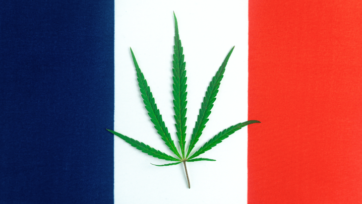 France: A Last Bastion of Cannabis Prohibition