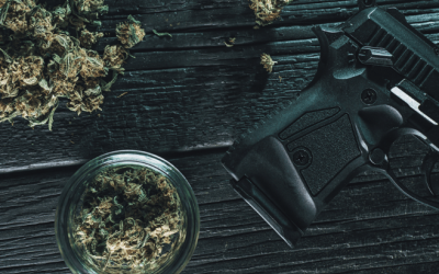 Several Supreme Court Justices Express Skepticism Over Governments’ Categorical Gun Ban for Cannabis Consumers