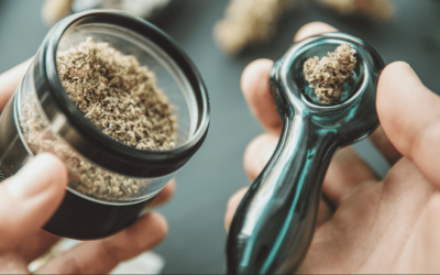 Most Americans Say Cannabis Freedom Is Still Out of Reach