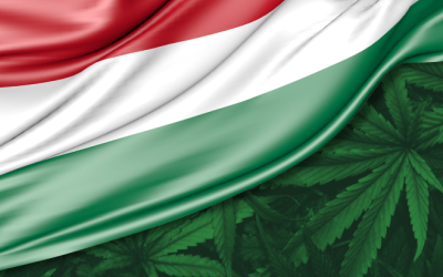 A Path Forward for Cannabis Freedom in Hungary?